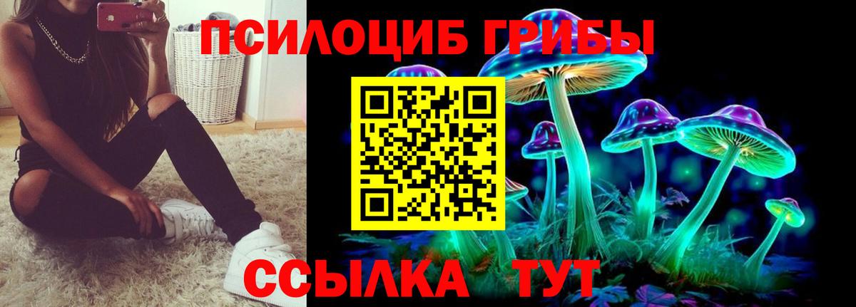 Элиста  Псилоцибиновые грибы прущие грибы  Вход с VPN 