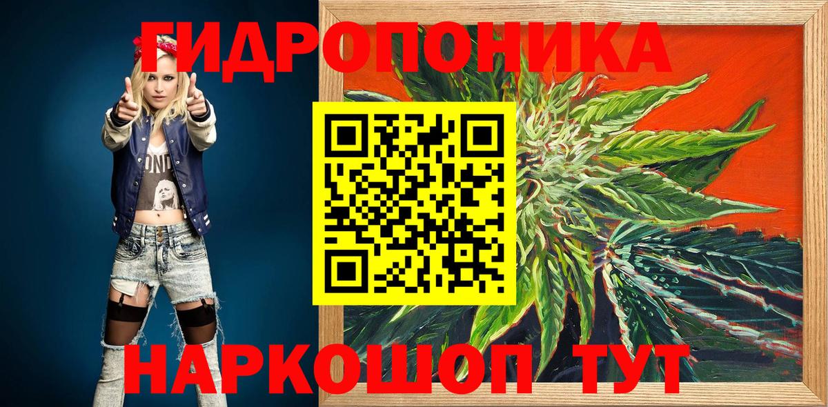 Марихуана VHQ  Каннабис тримм  Элиста  Вход с VPN  МАРИХУАНА марихуана 
